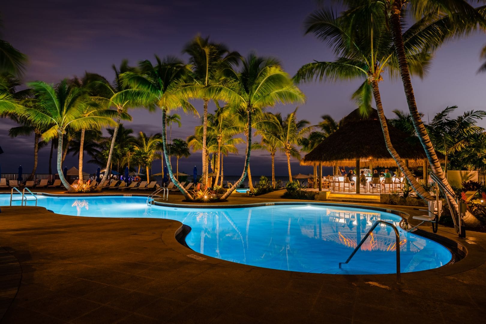A pool at night with palm trees in the background.