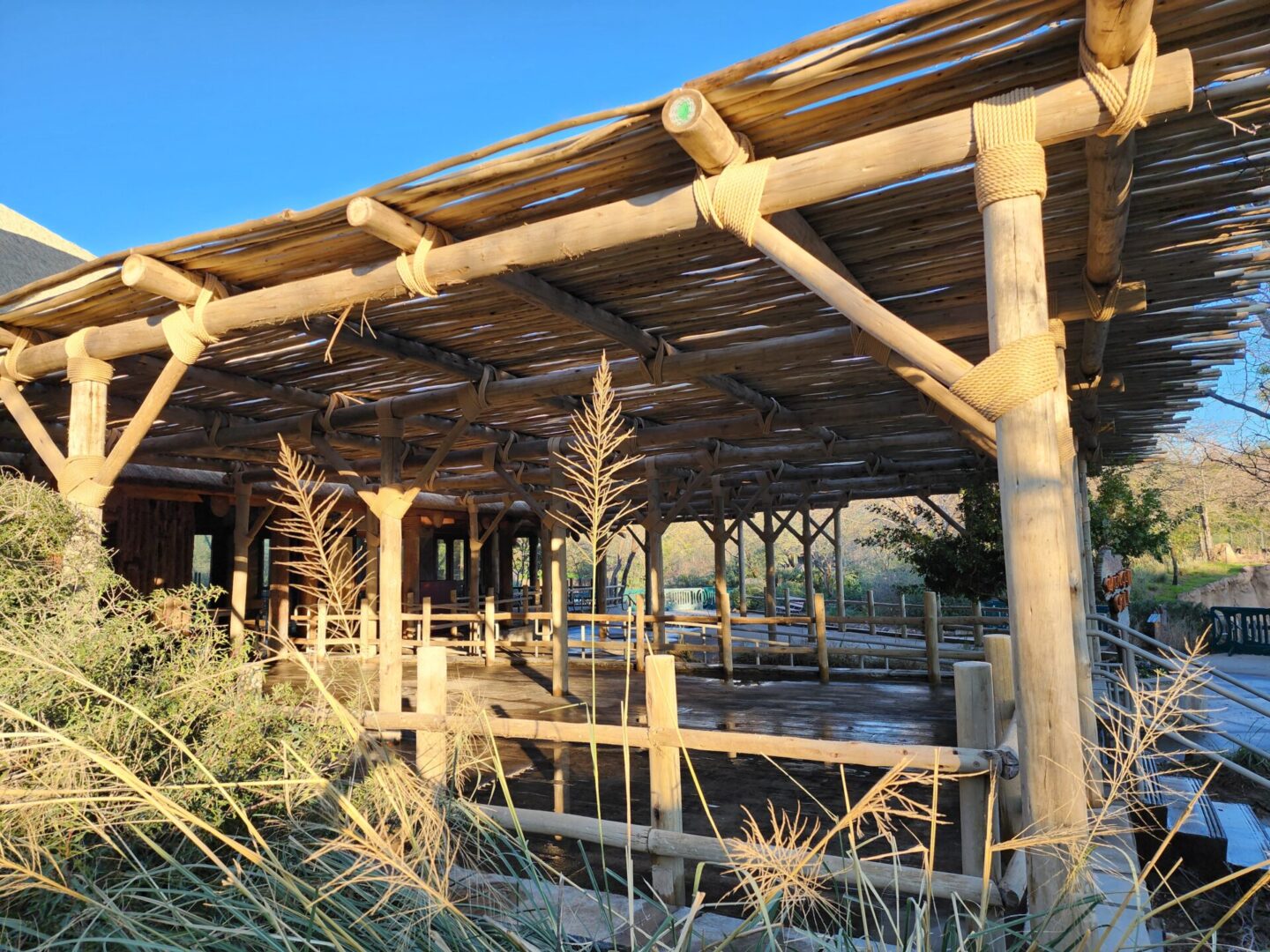 The zoo has a wooden structure with bamboo poles.