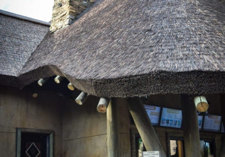 A building with a thatched roof and a water feature.