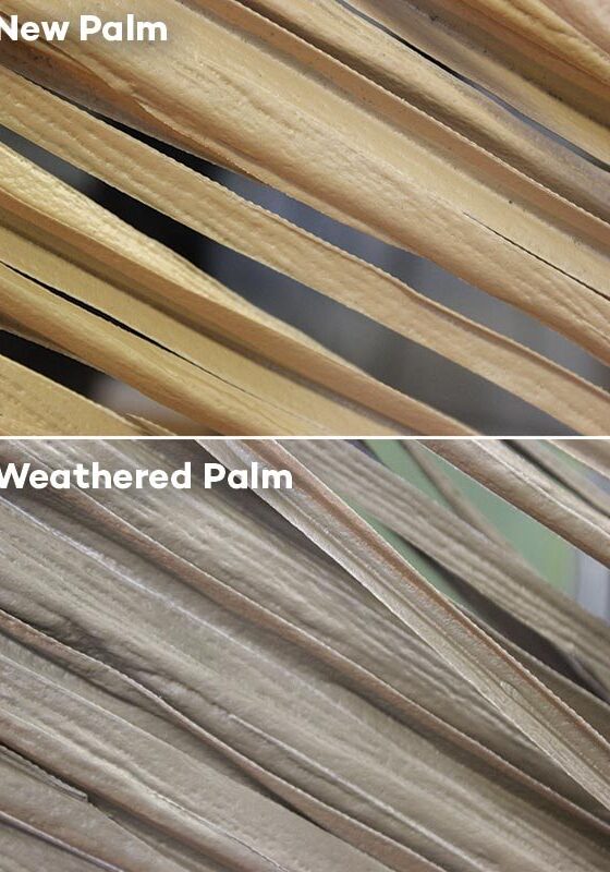 Weathered palm vs new palm.